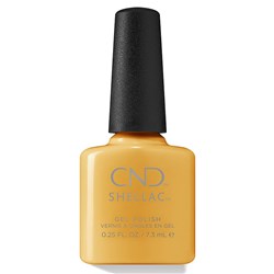 29990- 7 ML